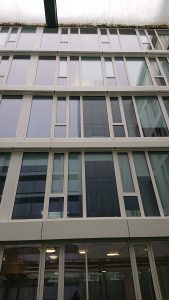 Fenster DSC 1733 169x300